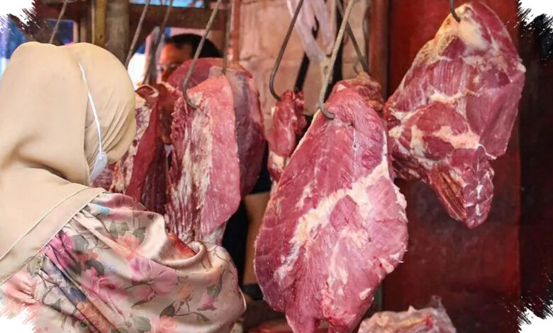 Indukan dari Eropa hingga Brasil Diburu, Ketergantungan Impor Sapi Masih Besar