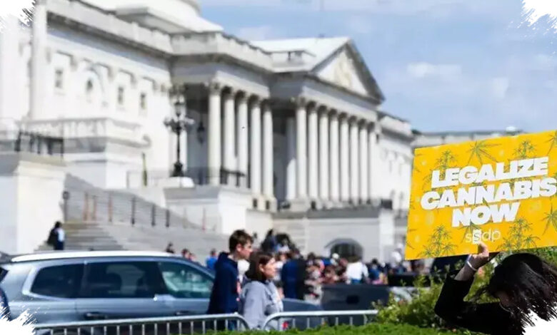 Dukungan Ganja Terbelah Menjelang 2026, Trump dan Demokrat Pilih Jalan Berbeda