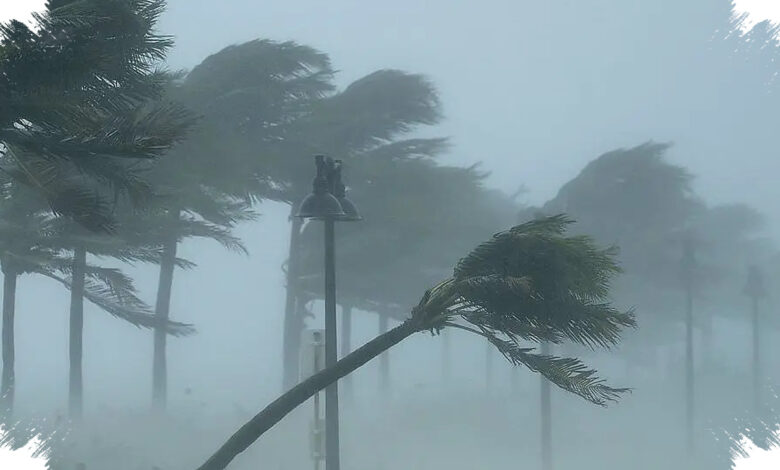 Hujan Bisa Tembus 25 Inci di Hawaii, Topan Lala Membawa Risiko Banjir dan Longsor