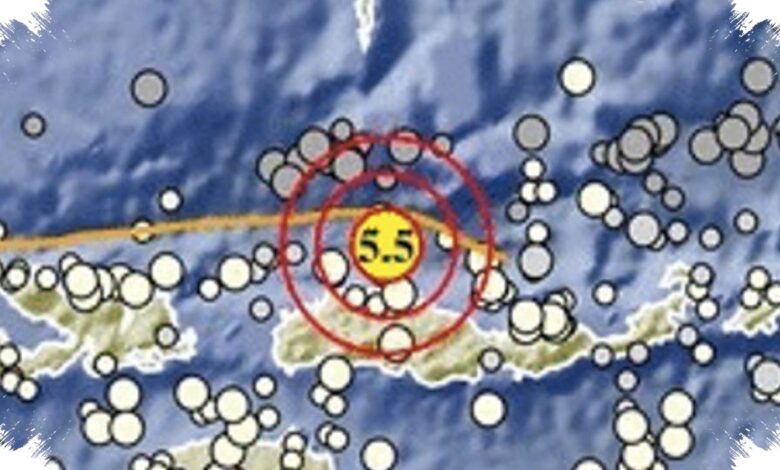 Tsunami hingga 1,61 Meter Menyusul Gempa M7,7 Flores, Susulan Belum Mereda