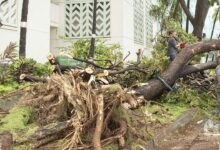 Lebih dari 160 Ribu Pelanggan Gelap Gulita saat Badai Lala Terjang Hawaii
