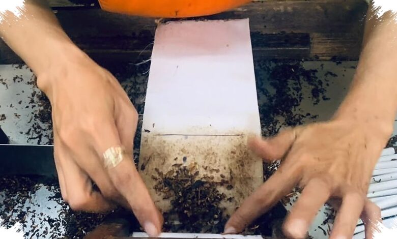 Saat Pasar Rokok Legal Melemah, Petani Tembakau Terancam Kehilangan Pembeli