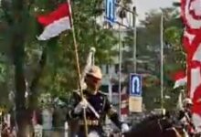 Bukan Sekadar Rp1 Miliar per Ekor, Nilai 300 Kuda untuk TNI Belum Bisa Dipastikan