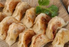 Dari Choipan Lembut sampai Samosa Berempah, 7 Pangsit Ini Punya Rasa Berbeda